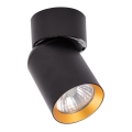 Spotlight ANDY 1xGU10/8W/230V svart/guld