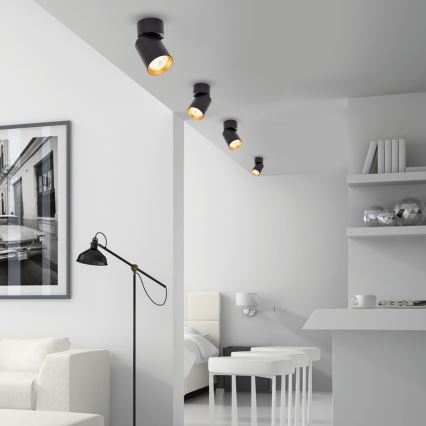 Spotlight ANDY 1xGU10/8W/230V svart/guld