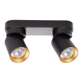 Spotlight ANDY 2xGU10/8W/230V svart/guld