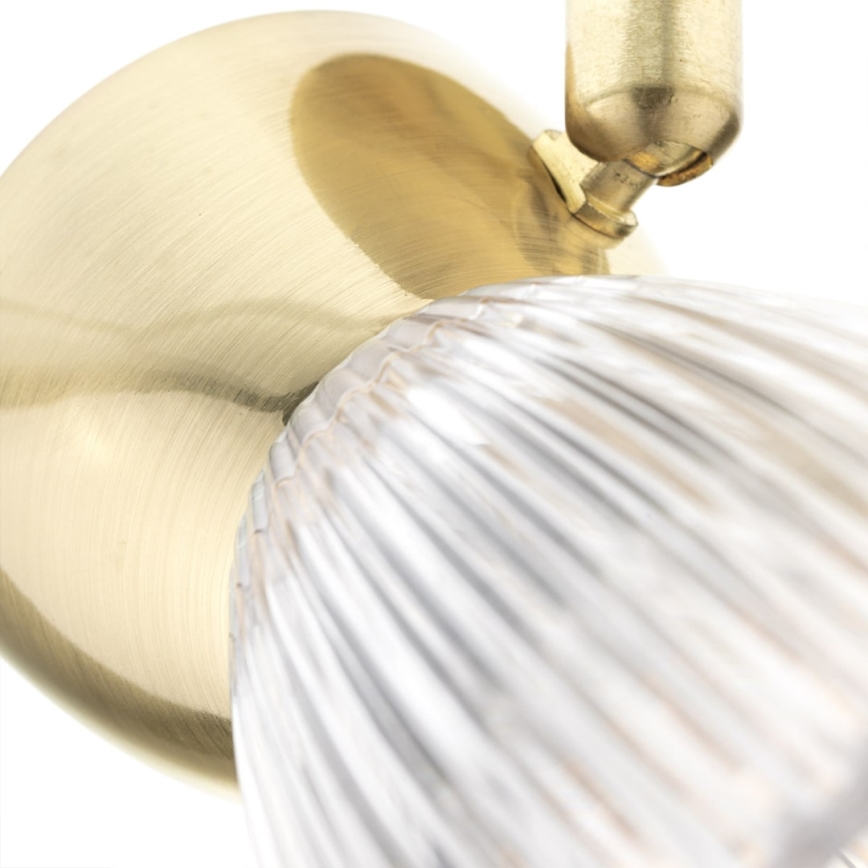 Spotlight BEST 1xE14/40W/230V guld