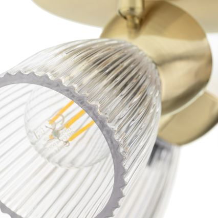 Spotlight BEST 3xE14/40W/230V guld