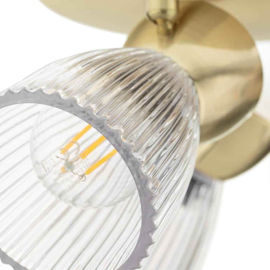 Spotlight BEST 3xE14/40W/230V guld