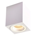 Spotlight  BIMA 1xGU10/25W/230V fyrkant  vit 