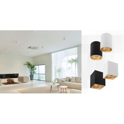 Spotlight CHLOE 1xGU10/50W/230V vinklat vit