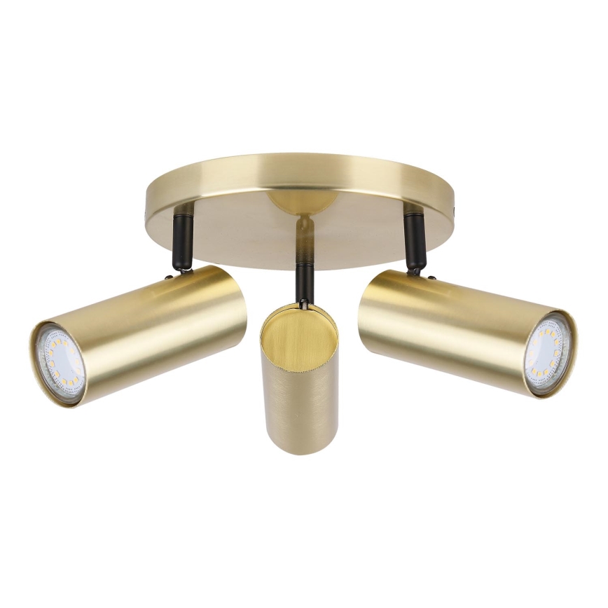 Spotlight COLLY 3xGU10/15W/230V guld