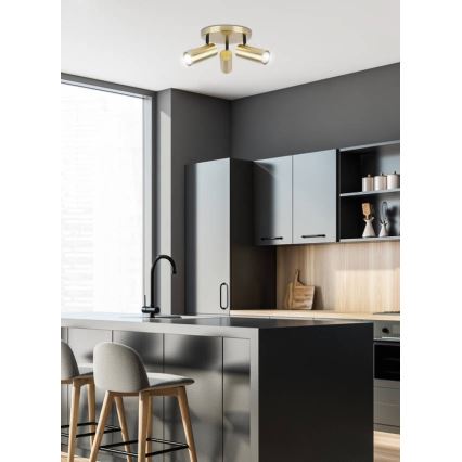 Spotlight COLLY 3xGU10/15W/230V guld