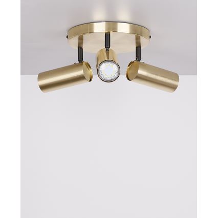 Spotlight COLLY 3xGU10/15W/230V guld
