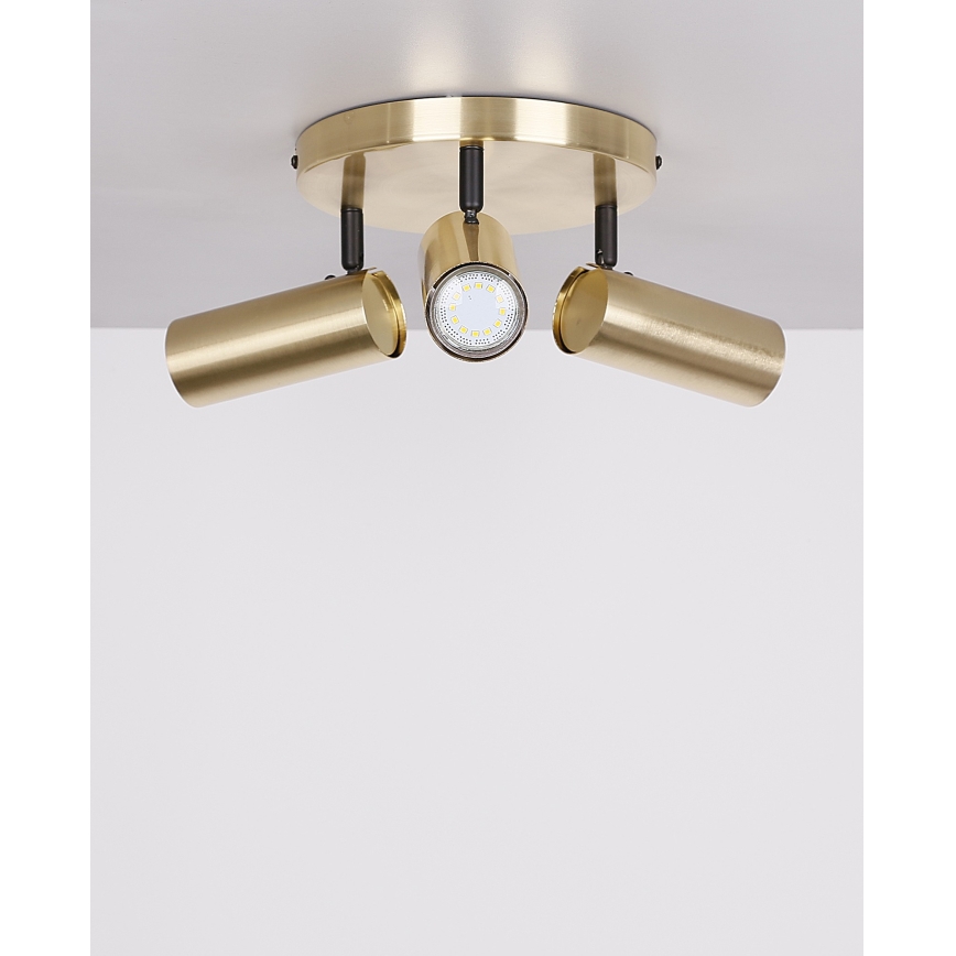 Spotlight COLLY 3xGU10/15W/230V guld