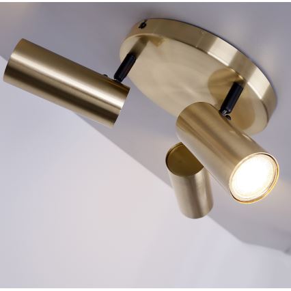 Spotlight COLLY 3xGU10/15W/230V guld