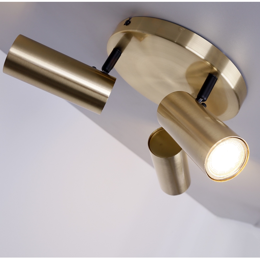 Spotlight COLLY 3xGU10/15W/230V guld
