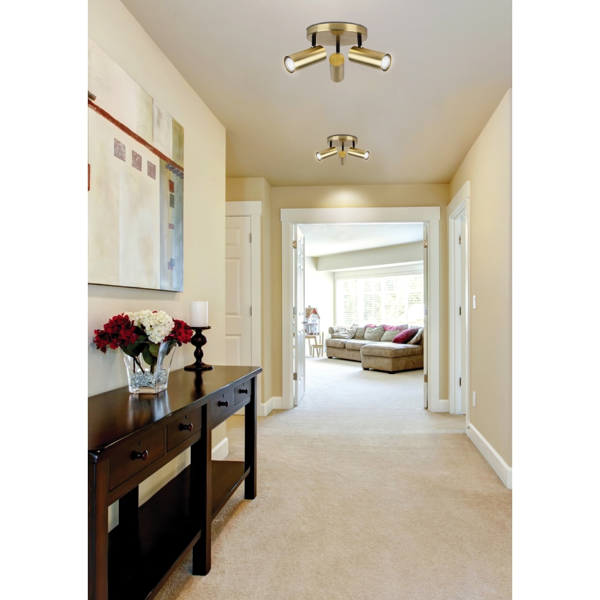 Spotlight COLLY 3xGU10/15W/230V guld