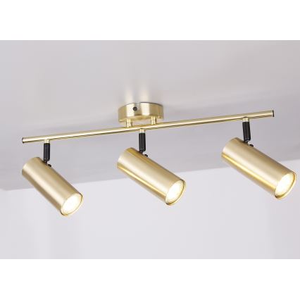 Spotlight COLLY 3xGU10/15W/230V guld