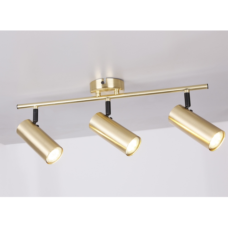 Spotlight COLLY 3xGU10/15W/230V guld