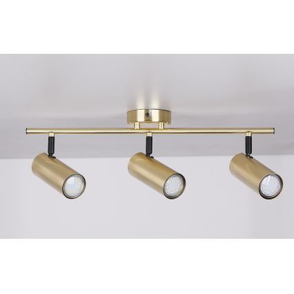 Spotlight COLLY 3xGU10/15W/230V guld