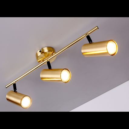 Spotlight COLLY 3xGU10/15W/230V guld