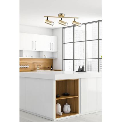 Spotlight COLLY 3xGU10/15W/230V guld
