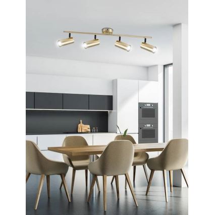 Spotlight COLLY 4xGU10/15W/230V guld
