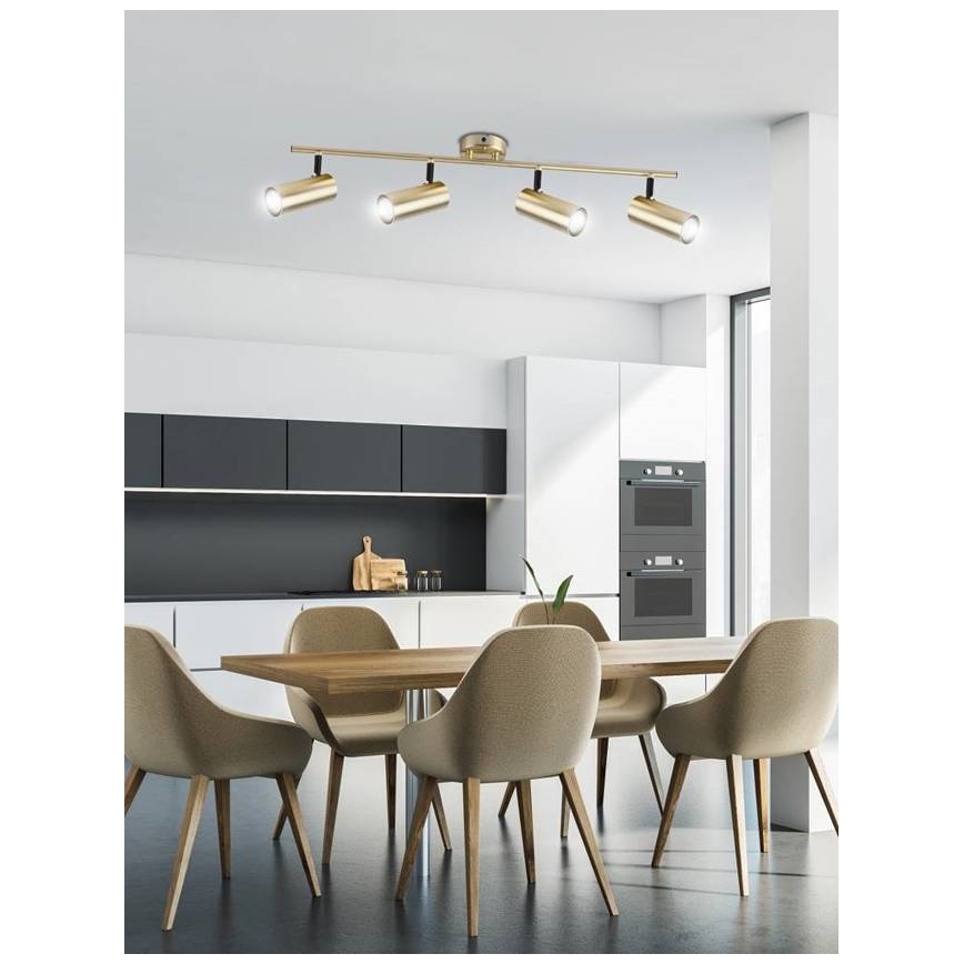 Spotlight COLLY 4xGU10/15W/230V guld