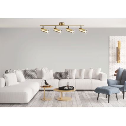 Spotlight COLLY 4xGU10/15W/230V guld