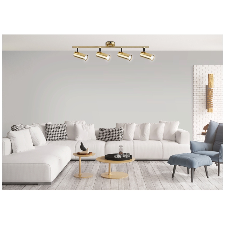 Spotlight COLLY 4xGU10/15W/230V guld