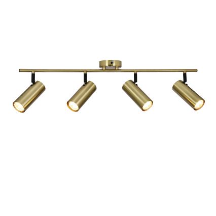 Spotlight COLLY 4xGU10/15W/230V guld