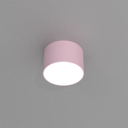 Spotlight  DIXIE 1xGX53/11W/230V rosa 