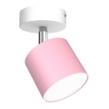 Spotlight  DIXIE 1xGX53/11W/230V rosa