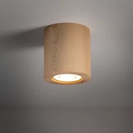 Spotlight EVE 1xGU10/10W/230V bok