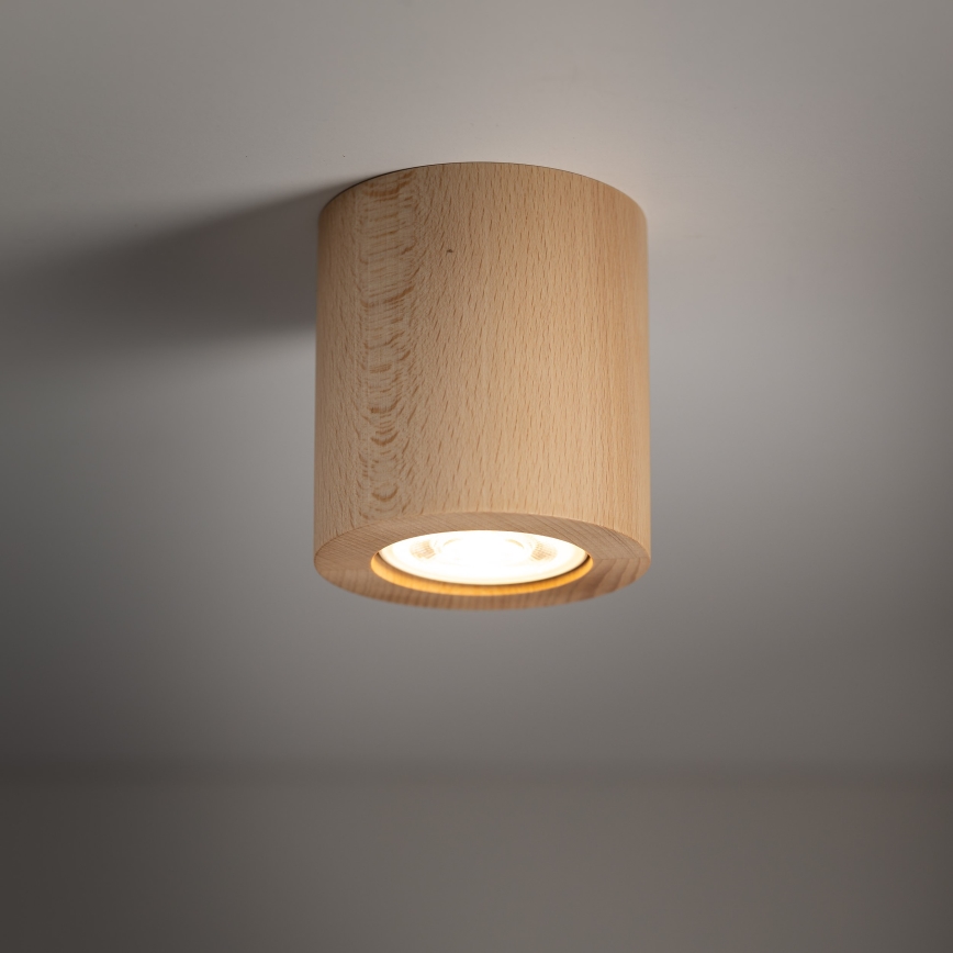 Spotlight EVE 1xGU10/10W/230V bok