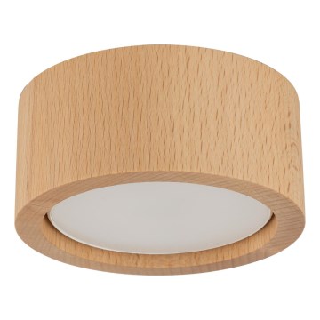 Spotlight EVE 1xGX53/11W/230V bok