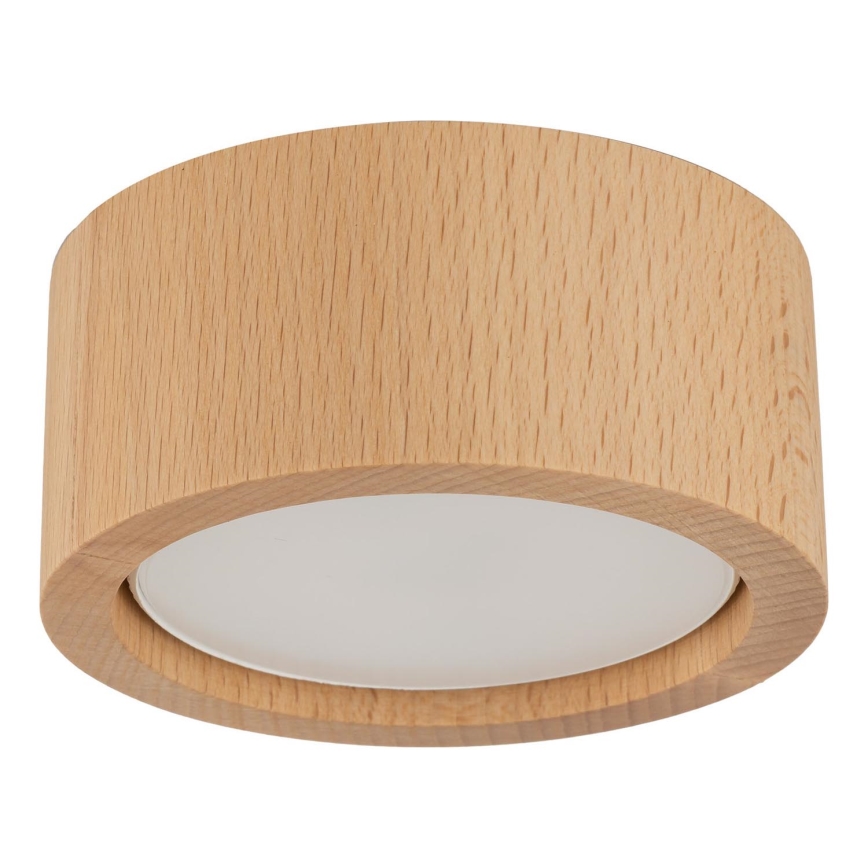 Spotlight EVE 1xGX53/11W/230V bok