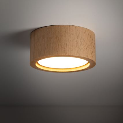 Spotlight EVE 1xGX53/11W/230V bok