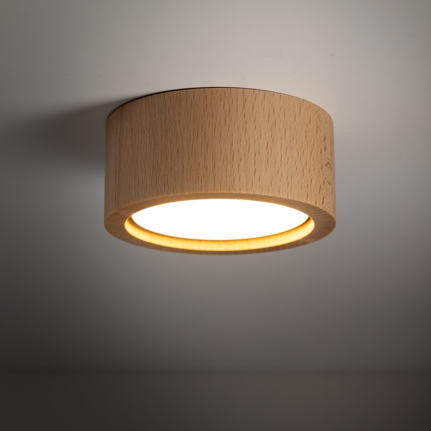 Spotlight EVE 1xGX53/11W/230V bok