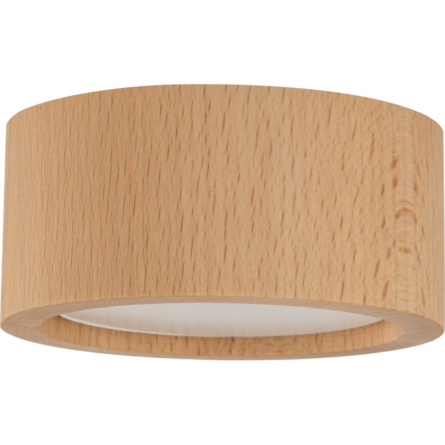 Spotlight EVE 1xGX53/11W/230V bok