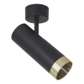 Spotlight FADO 1xGU10/10W/230V svart