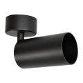 Spotlight FARGO 1xGU10/30W/230V svart