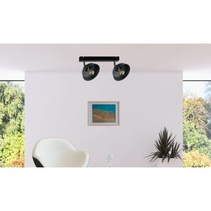 Spotlight FAUN 2xE27/60W/230V svart