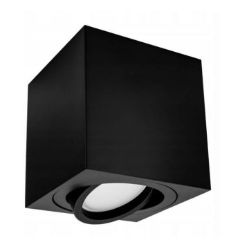 Spotlight FEBE 1xGU10/30W/230V svart
