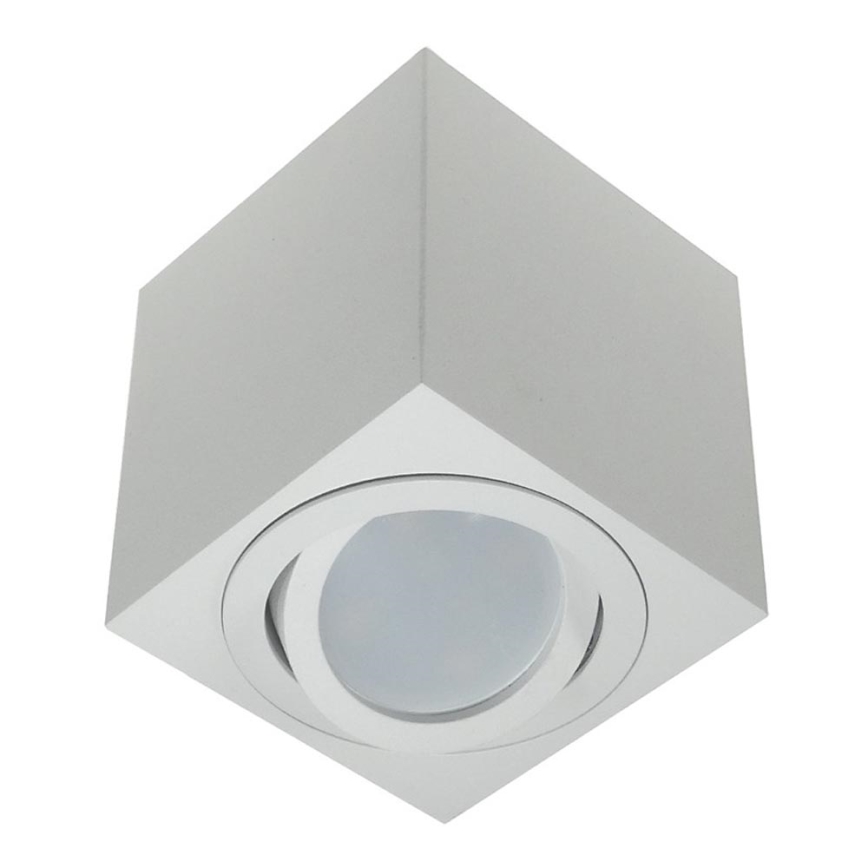 Spotlight FEBE 1xGU10/30W/230V vit