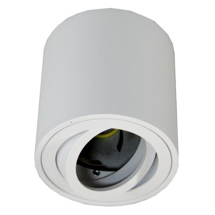 Spotlight FEBE 1xGU10/30W/230V vit