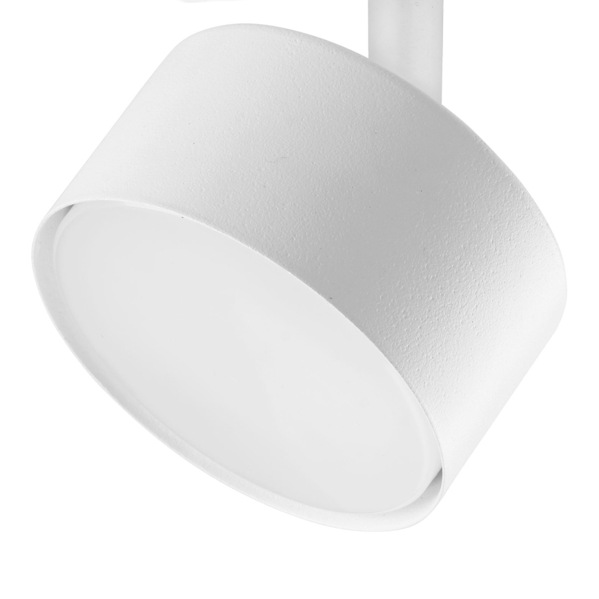 Spotlight för 1-fas skensystem AVIA 1xGX53/15W/230V vit