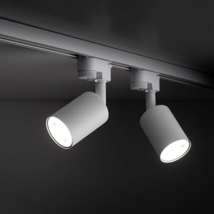 Spotlight för 1-fas skensystem TOP 1xGU10/10W/230V vit