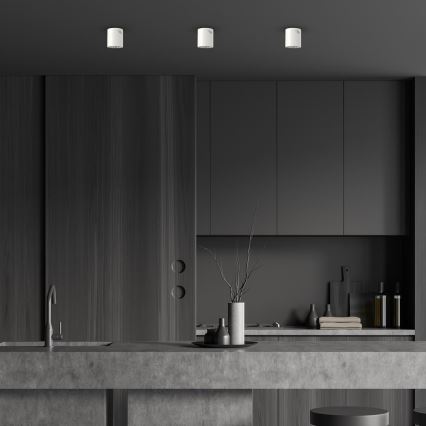 Spotlight GEORGE 1xE27/60W/230V diameter 11 cm vit