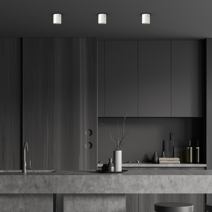 Spotlight GEORGE 1xE27/60W/230V diameter 11 cm vit