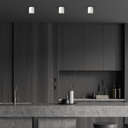 Spotlight GEORGE 1xE27/60W/230V diameter 13,7 cm vit