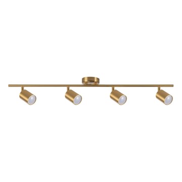 Spotlight GOLDI 4xGU10/10W/230V guld