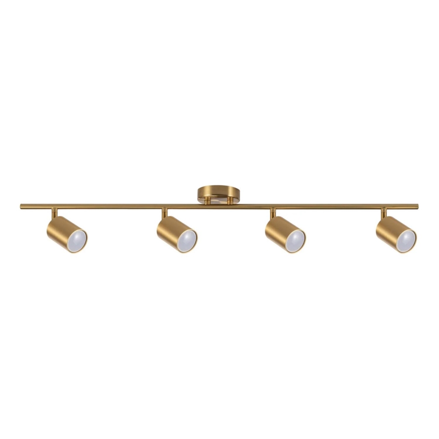 Spotlight GOLDI 4xGU10/10W/230V guld