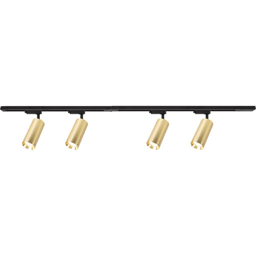Spotlight i skensystem MICA 4xGU10/10W/230V guld/svart