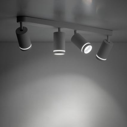 Spotlight JET 4xGU10/10W/230V vit