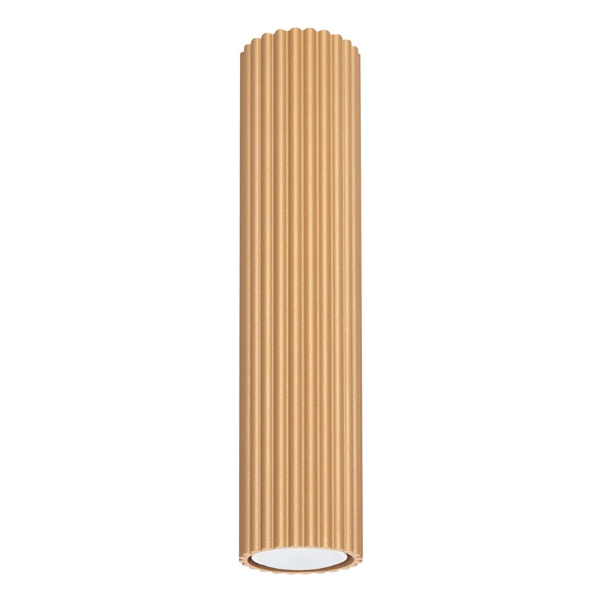 Spotlight KARBON 1xGU10/10W/230V 30 cm guld